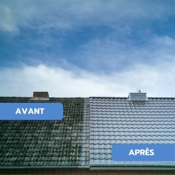 Antimousse toiture, façade, terrasse FASTI'DMOUSS