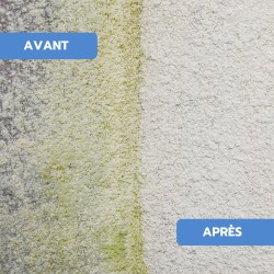 Antimousse toiture, façade, terrasse FASTI'DMOUSS